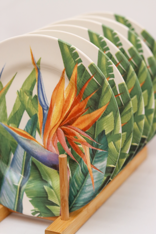 Prato Sobremesa Estrelitzia Plus Alleanza