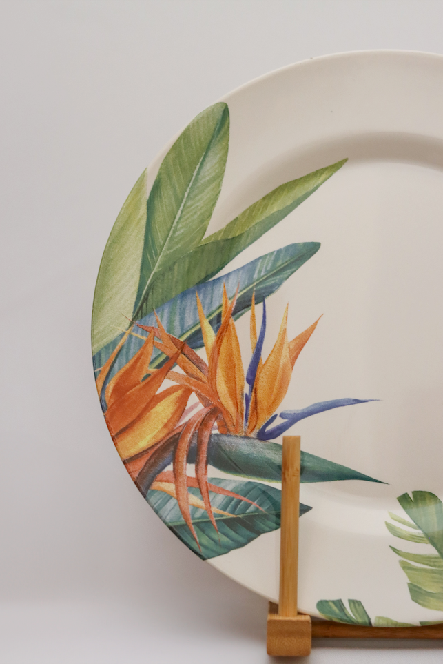 Prato raso Estrelitzia Plus Alleanza