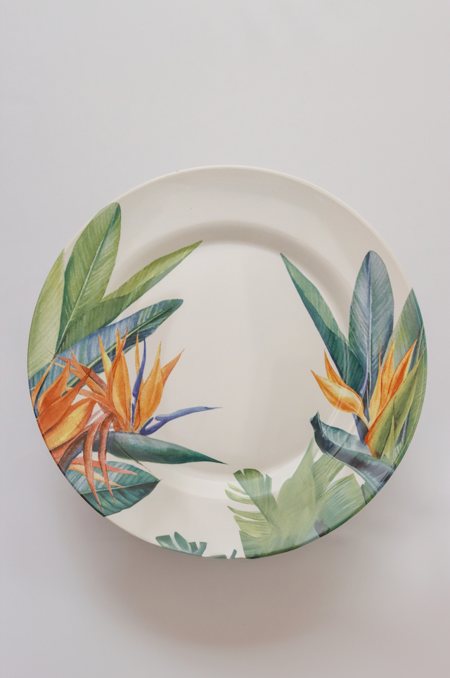 Prato raso Estrelitzia Plus Alleanza