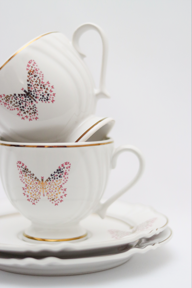 Xícara de Chá C/ Pires Encantada Oxford