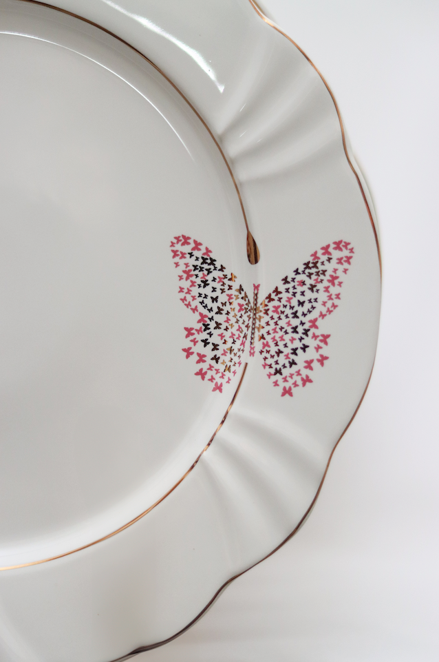 Prato Raso Encantada Oxford