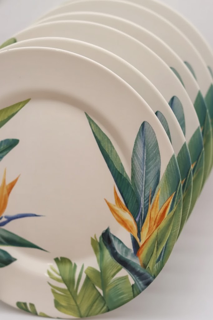 Jogo 6 Pratos Rasos Estrelitzia Plus, Alleanza