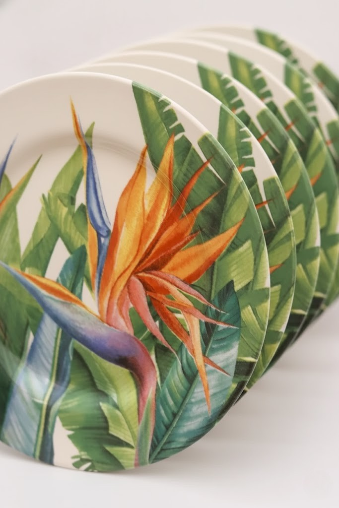 Jogo 6 Pratos de Sobremesa Estrelitzia Plus, Alleanza