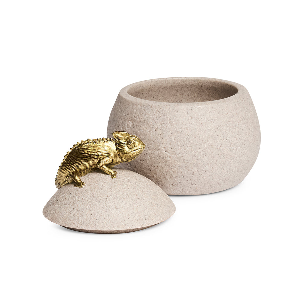 Pote Decorativo em Polirresina Camaleão Mart