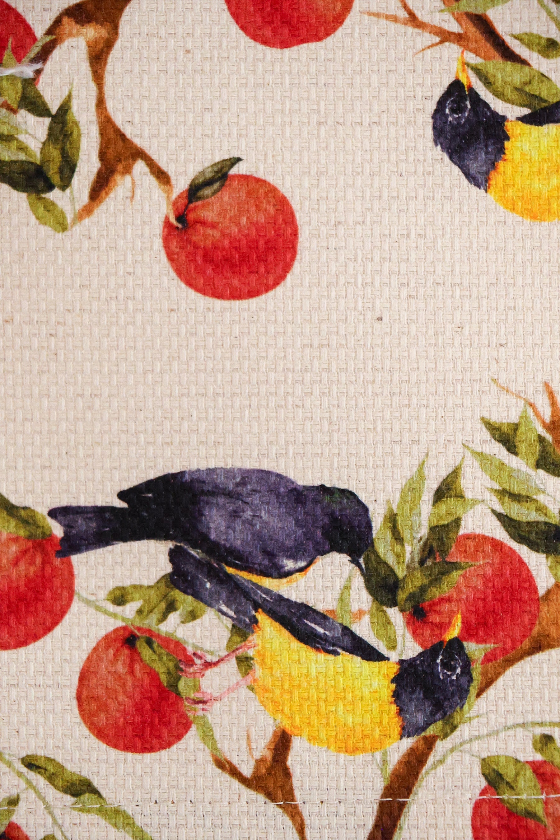 Jogo Americano Impermeável Frutos do Pomar Gardenia