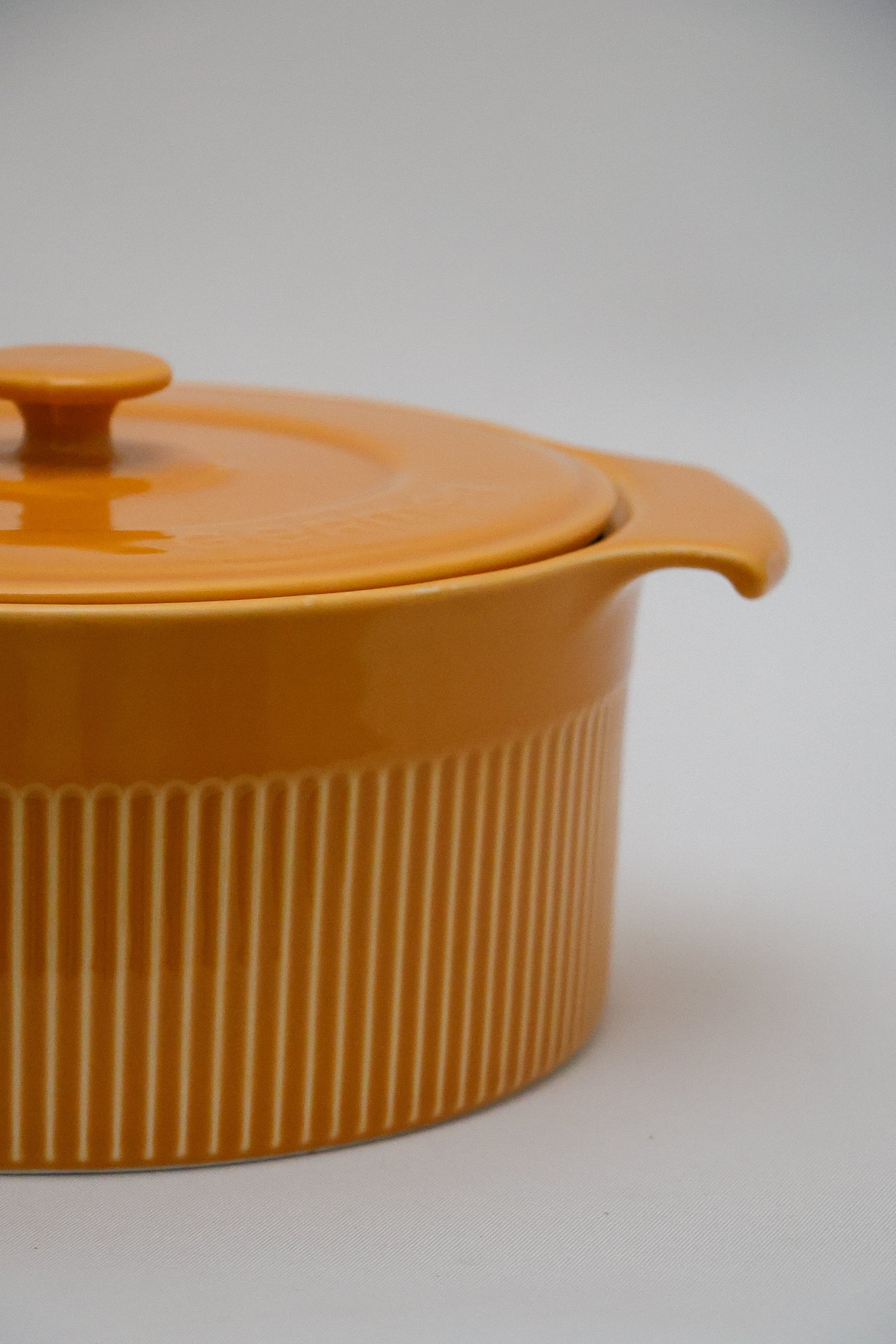 Cocotte de Porcelana Diâmetro 22cm Germer