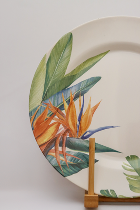 Prato raso Estrelitzia Plus Alleanza