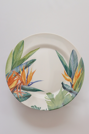 Prato raso Estrelitzia Plus Alleanza