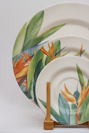 Prato raso Estrelitzia Plus Alleanza