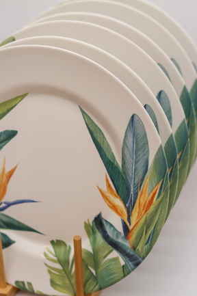 Prato raso Estrelitzia Plus Alleanza