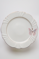 Prato Raso Encantada Oxford