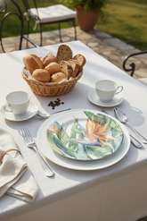 Jogo 6 Pratos de Sobremesa Estrelitzia Plus, Alleanza