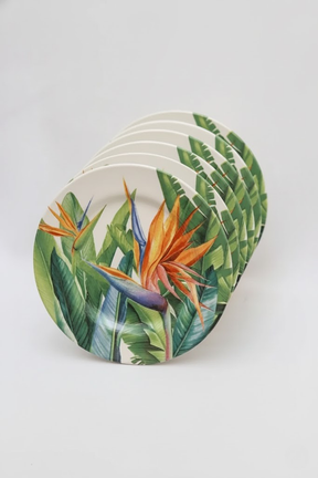 Jogo 6 Pratos de Sobremesa Estrelitzia Plus, Alleanza