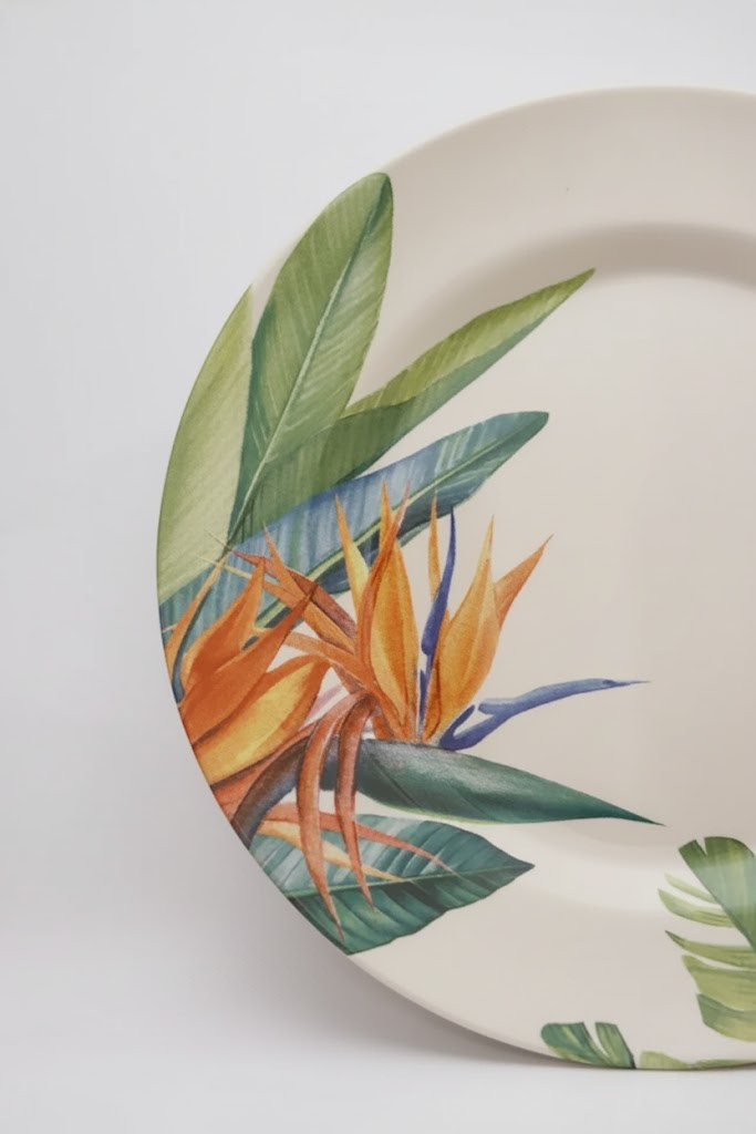 Jogo 6 Pratos Rasos Estrelitzia Plus, Alleanza