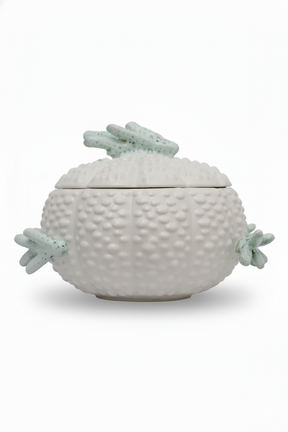 Sopeira Al Mare, Scalla