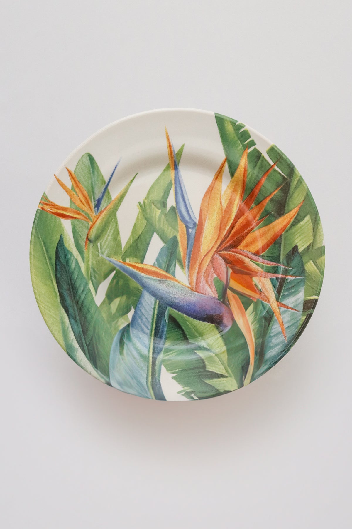 Prato Sobremesa Estrelitzia Plus Alleanza