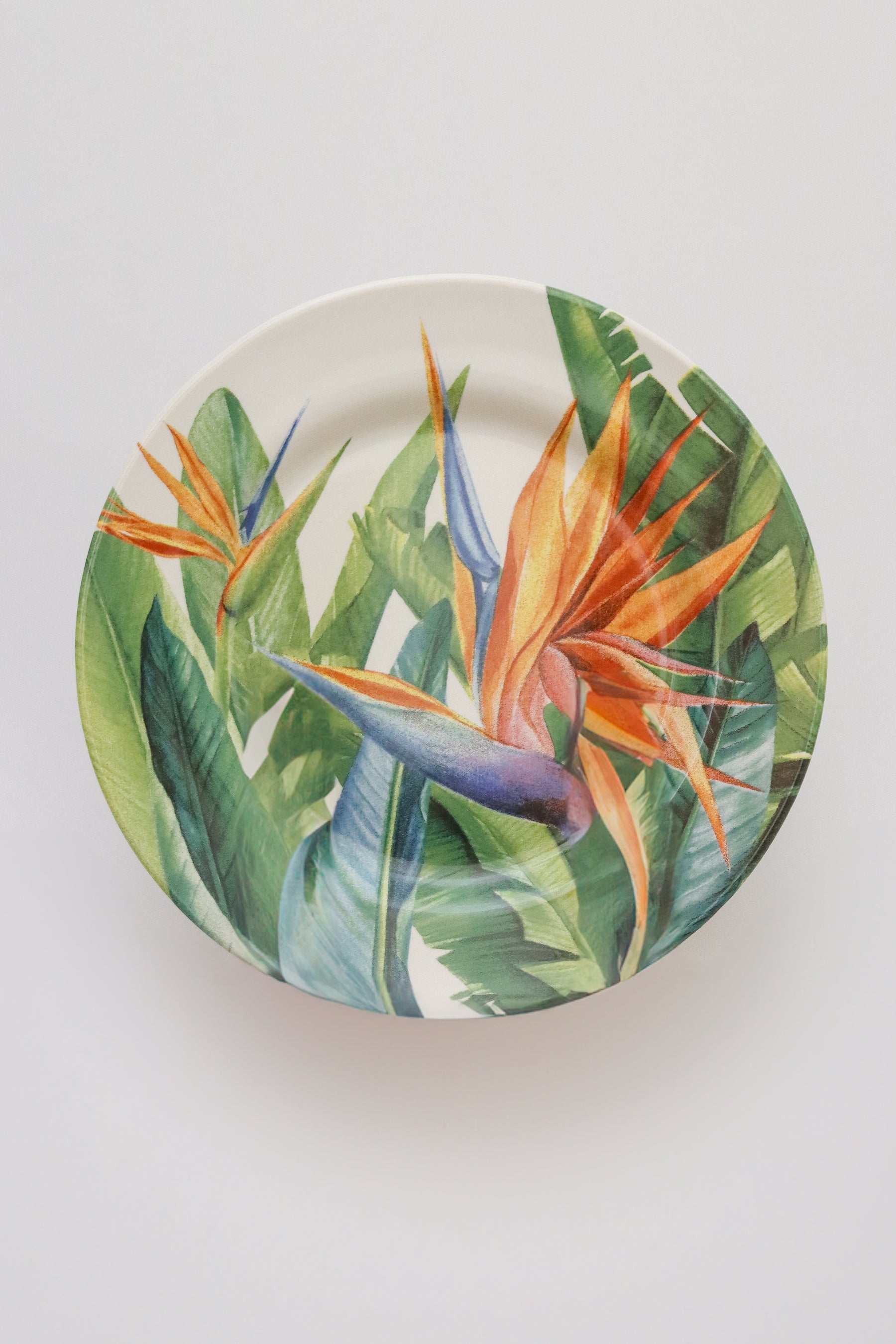 Prato Sobremesa Estrelitzia Plus Alleanza