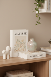 Conjunto de 2 Livros Caixas Henri Matisse em MDF e Canvas Mart