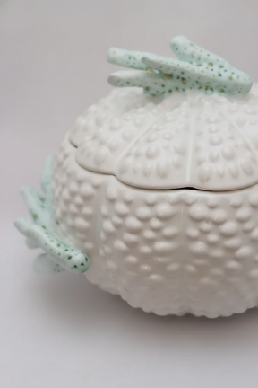 Sopeira Al Mare, Scalla